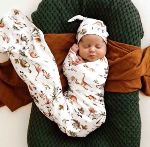 Dino Organic Jersey Wrap & Beanie Set