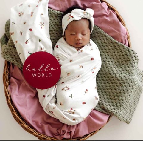Ladybug Organic Jersey Wrap & Topknot Set