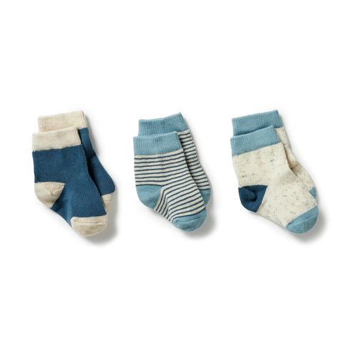 3 pack Baby Socks- Bluestone/ Sterling/ Oatmeal AW23