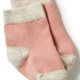 3 Pack Baby Socks- Peach/ Shell/ Oatmeal AW23