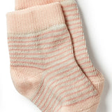 3 Pack Baby Socks- Peach/ Shell/ Oatmeal AW23
