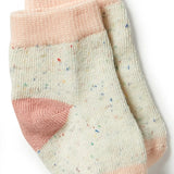 3 Pack Baby Socks- Peach/ Shell/ Oatmeal AW23