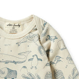 Arctic Blast Organic Envelope Top AW23