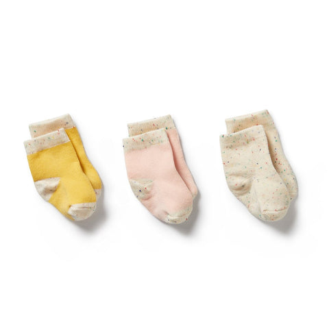 Dijon, Pink, Fleck Organic 3 pack baby socks AW24