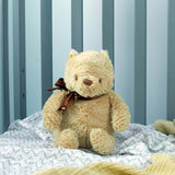WINNIE THE POOH CLASSIC POOH SOFT TOY