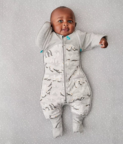 Swaddle Up Stage 2 Transition Suit Extra Warm 3.5Tog- Penguin Parade Grey