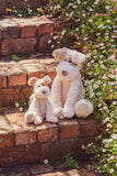 Buddy the Pup - Beige