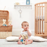 PETER RABBIT & FLOPSY BEAN RATTLE SOFT TOYS