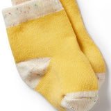 Dijon, Pink, Fleck Organic 3 pack baby socks AW24