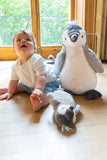 Paulo the Penguin