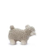 Lucy Lamb- cream
