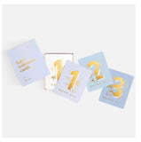 Baby Milestone Cards- Powder Blue