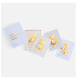 Baby Milestone Cards- Powder Blue