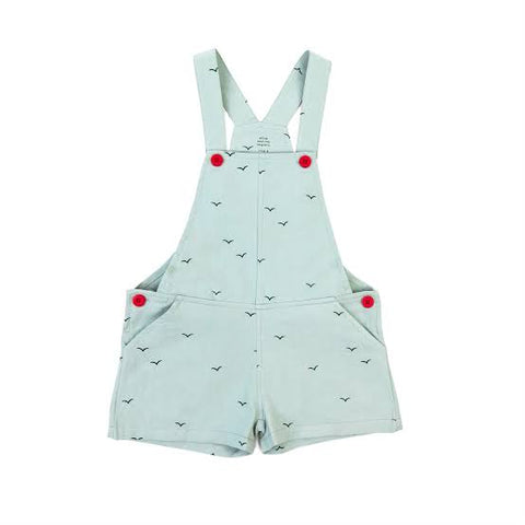 Birds Overalls- Seafoam SS21