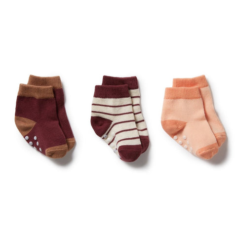 3 Pack Baby Socks- Flamingo/ Wild Ginger/ Burro