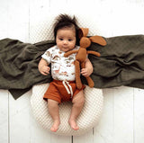 Biscuit Organic Shorts SS22