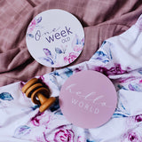 Lilac Skies & Butterfly LilC Reversible Milestone Cards