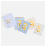 Baby Milestone Cards- Powder Blue